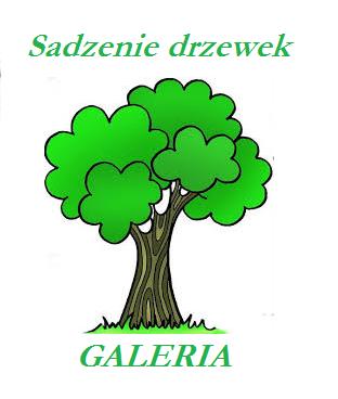 GALERIA: Wyjazd edukacyjny