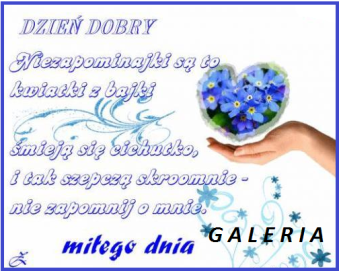 GALERIA