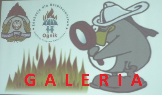 GALERIA