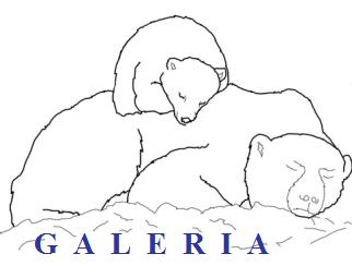 GALERIA